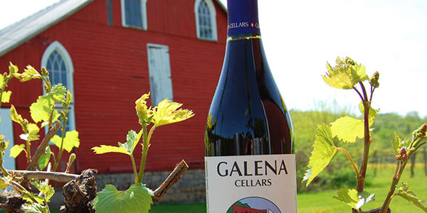 Nouveau Galena Cellars
